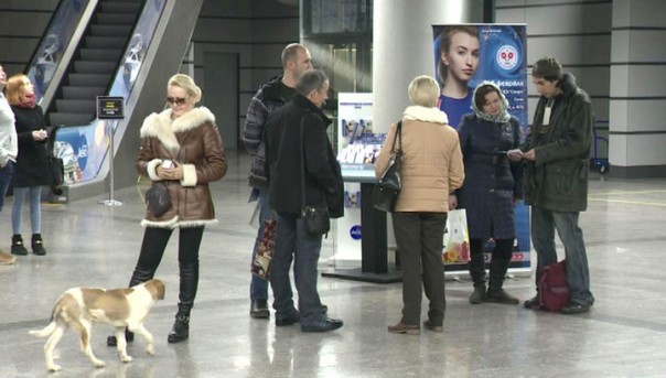 В Сочи приземлился первый прямой авиарейс из Берлина