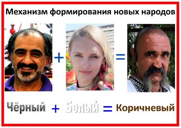 "Мыздобулы" в картинках. Смешных и не очень... 5-02-2017