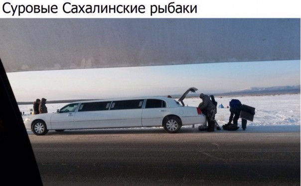 "Мыздобулы" в картинках. Смешных и не очень... 5-02-2017