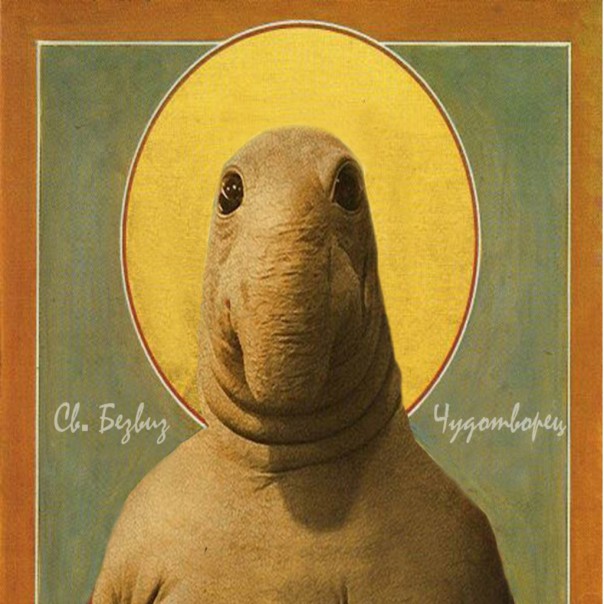 "Мыздобулы" в картинках. Смешных и не очень... 5-02-2017