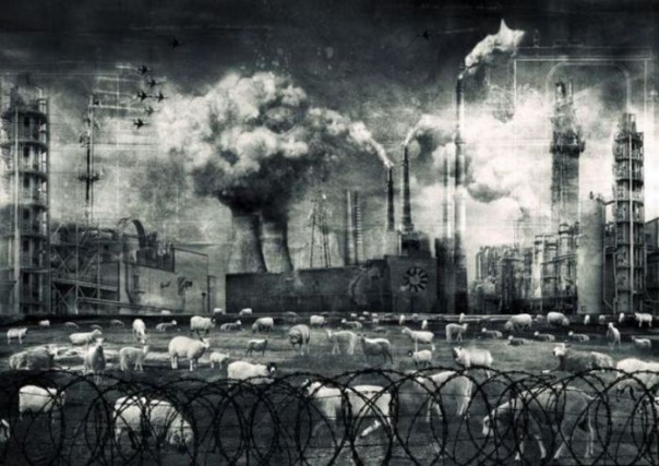 Надо ввести юридическую ответственность за сострадание к русским!