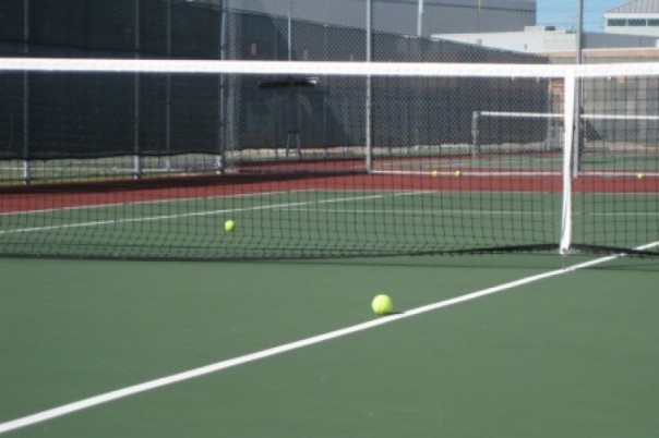 В США на Кубке федерации по теннису по ошибке включили гимн Третьего рейха