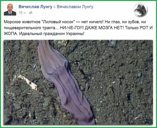 "Мыздобулы" в картинках. Смешных и не очень... 12-02-2017