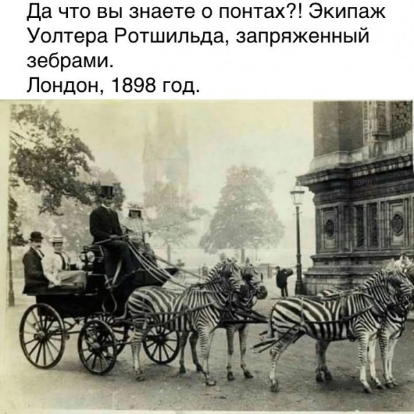 "Мыздобулы" в картинках. Смешных и не очень... 12-02-2017