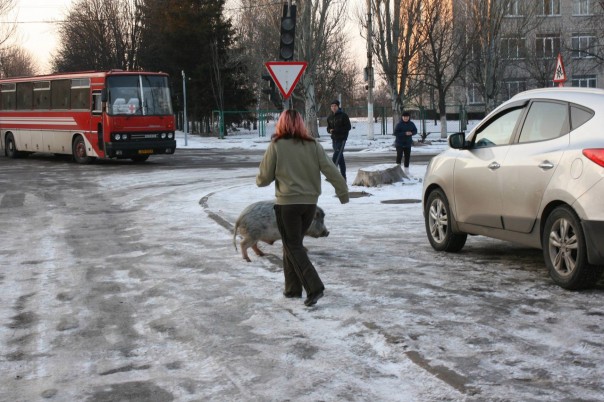 Срочно! Пидорошенко приехал в Марьинку! Срочно! Пидорошенко приехал в Марьинку!