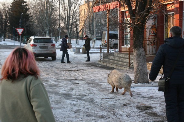 Срочно! Пидорошенко приехал в Марьинку! Срочно! Пидорошенко приехал в Марьинку!