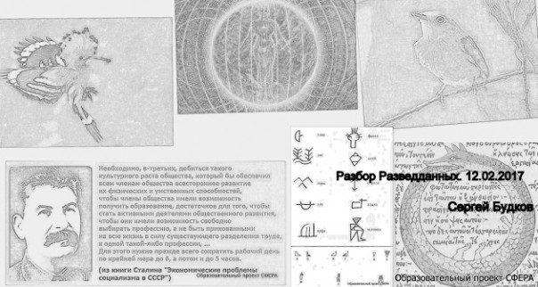 Сергей Будков. Разбор разведданных. О разрозненных фактах и некой картинке. 12.02.2017