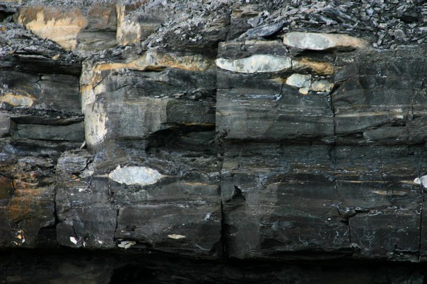 В Иране обнаружено первое месторождение сланцевой нефти