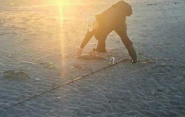 Вам показалось: 30 самых обескураживающих фотографий Вам показалось: 30 самых обескураживающих фотографий