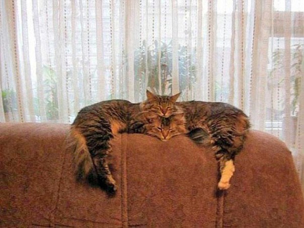 Вам показалось: 30 самых обескураживающих фотографий Вам показалось: 30 самых обескураживающих фотографий