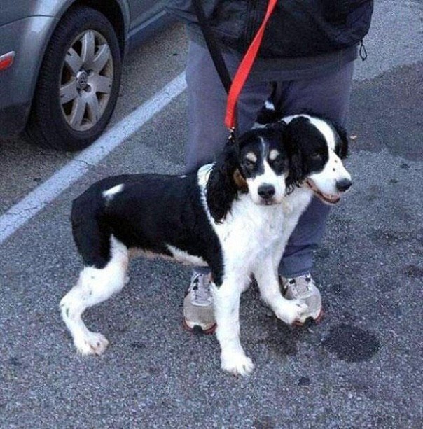 Вам показалось: 30 самых обескураживающих фотографий Вам показалось: 30 самых обескураживающих фотографий