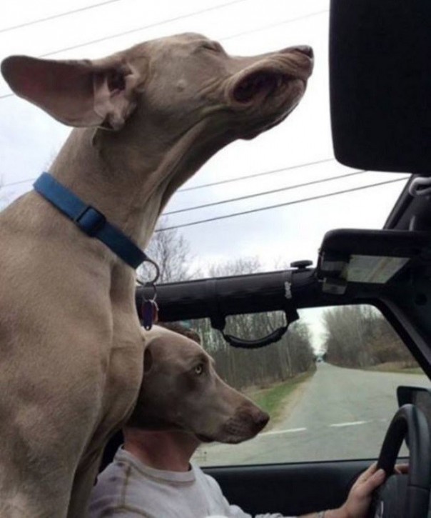 Вам показалось: 30 самых обескураживающих фотографий Вам показалось: 30 самых обескураживающих фотографий