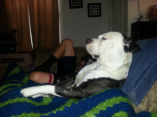 Вам показалось: 30 самых обескураживающих фотографий Вам показалось: 30 самых обескураживающих фотографий