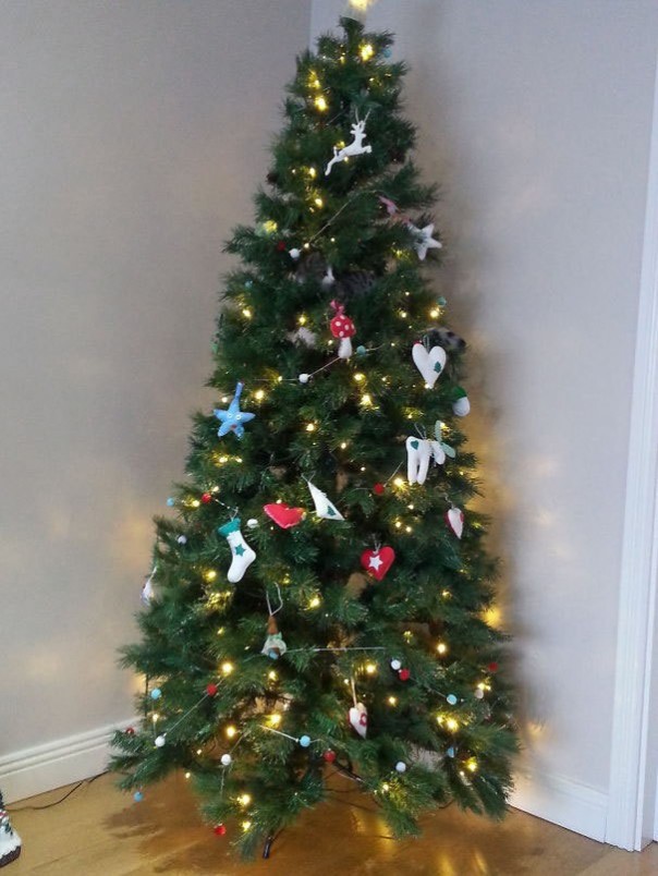 Найди кота! 18 фото со спрятавшимися котами заставят вас поломать голову