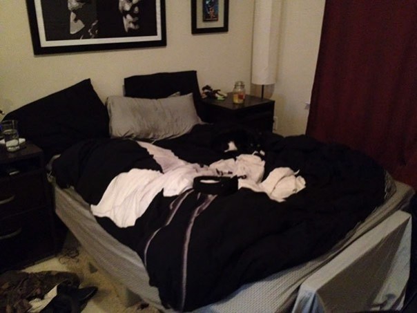 Найди кота! 18 фото со спрятавшимися котами заставят вас поломать голову