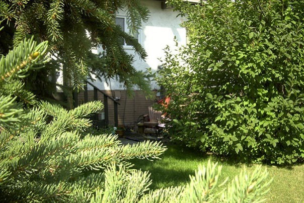 Найди кота! 18 фото со спрятавшимися котами заставят вас поломать голову