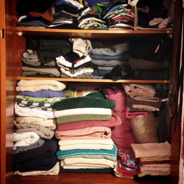 Найди кота! 18 фото со спрятавшимися котами заставят вас поломать голову