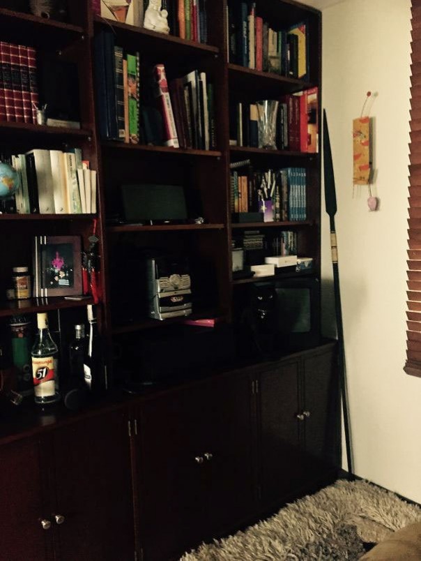 Найди кота! 18 фото со спрятавшимися котами заставят вас поломать голову