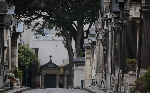 Найди кота! 18 фото со спрятавшимися котами заставят вас поломать голову