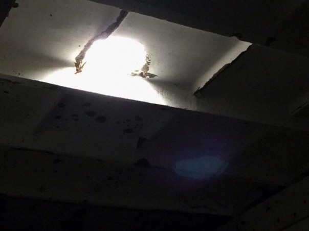 Кризис вокруг ДФС. Colonel Cassad