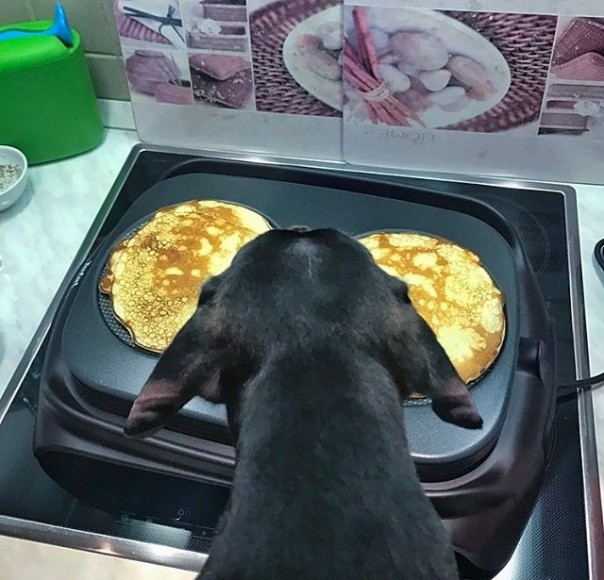 Костёр для чучела, покорение столба и бои на бревне: как в России провожают Масленицу Костёр для чучела, покорение столба и бои на бревне: как в России провожают Масленицу