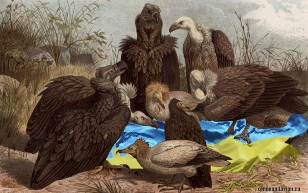 «Реформы на вымирание»