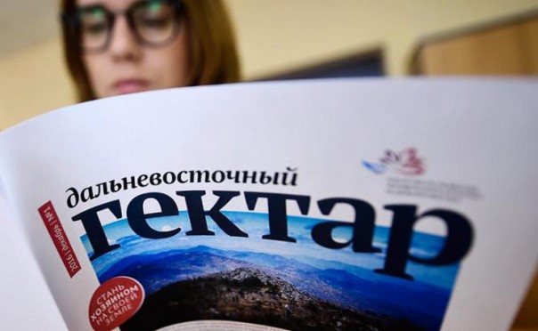 На одном гектаре