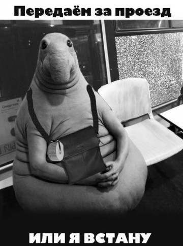 Позитивный Ждун