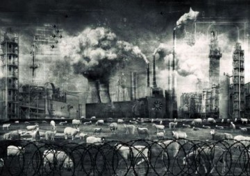 Надо ввести юридическую ответственность за сострадание к русским!