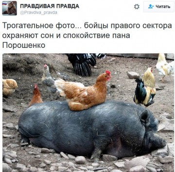 "Мыздобулы" в картинках. Смешных и не очень... 23-02-2017