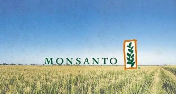 Монсанто, ГМО в России — кто придумывает и распространяет фейки