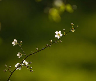Календарь Вятровича. Постпраздничное