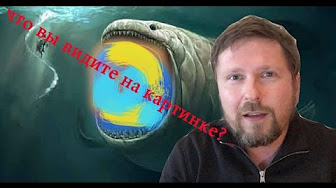 Память рыбки, триколор и просьба Царева