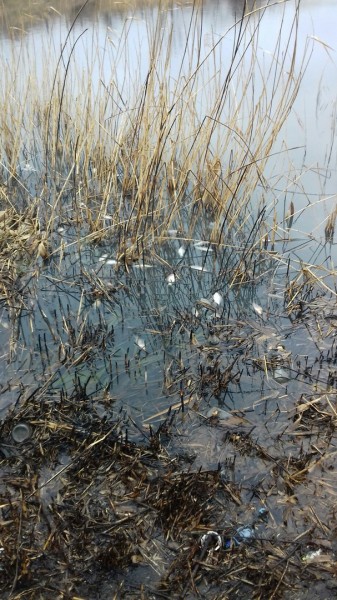 Из Львова Тернополю с любовью Из Львова Тернополю с любовью