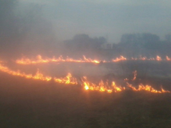 Настоящие украинские пожарные - тушат только способом самовыгорания! Настоящие украинские пожарные - тушат только способом самовыгорания!