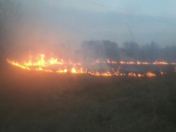 Настоящие украинские пожарные - тушат только способом самовыгорания! Настоящие украинские пожарные - тушат только способом самовыгорания!