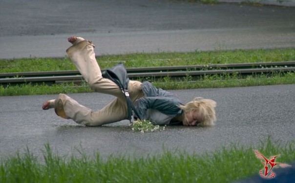 Научная классификация дур (16 видов от Т. Лукяновой)