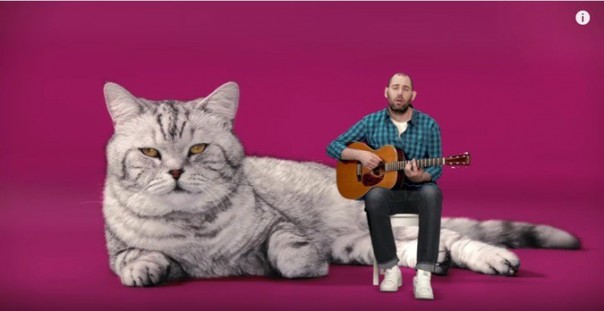 Семён Слепаков признался в любви к котам в новой песне «Котозависимость»