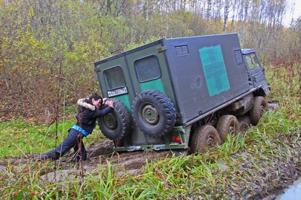 Поздравление от Главного. Владимир Путин поздравил женщин с 8 Марта Поздравление от Главного. Владимир Путин поздравил женщин с 8 Марта