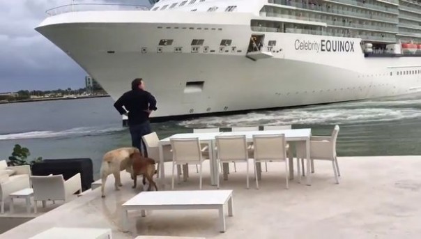 Семью американцев напугал лайнер, подплывший слишком близко к их дому