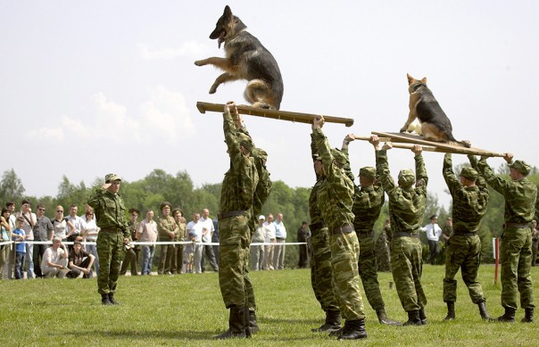 Армия Белоруссии: одна из мощнейших ударных группировок в Европе Армия Белоруссии: одна из мощнейших ударных группировок в Европе