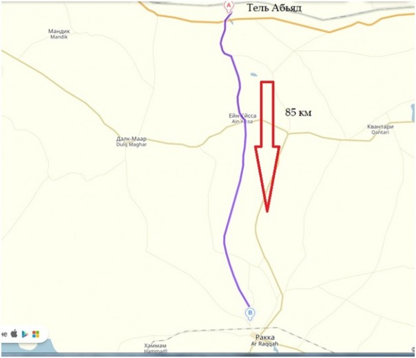 Дорога на Ракку крымские паромы и ставка на курдов. Эрдогану нужна победа