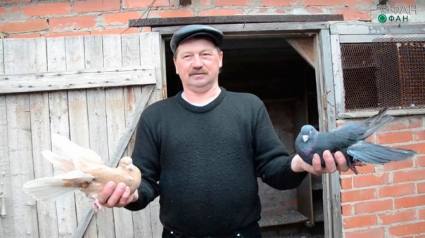 Сводка от МО ДНР 15 марта 2017. Укрофашисты за сутки обстреляли 17 населенных пунктов ДНР, погиб один военнослужащий и один мирный житель, один ранен