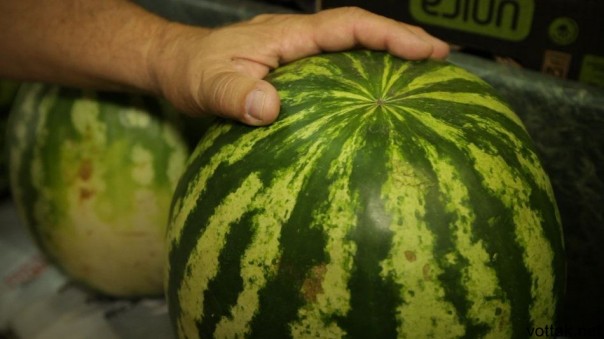 Променяли шпроты на арбузы: Прибалтика лидер по закупкам бахчевых из РФ