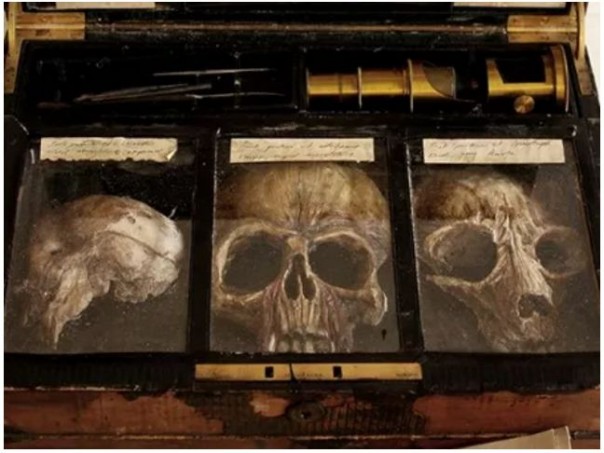 В подвале жилого дома в Лондоне найдены тела неизвестных науке существ