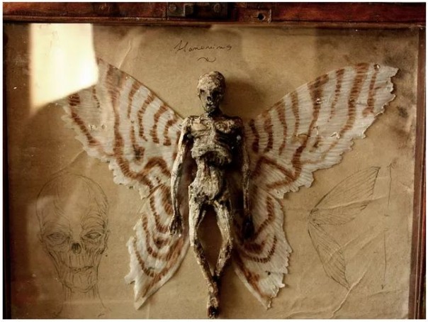 В подвале жилого дома в Лондоне найдены тела неизвестных науке существ