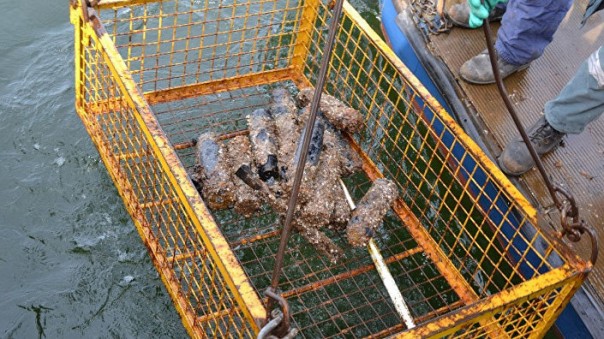 Страшная тайна Балтики: химическое оружие на дне моря