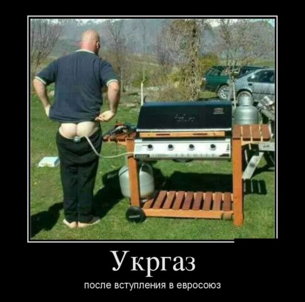 "Мыздобулы" в картинках. Смешных и не очень... 31-03-2017