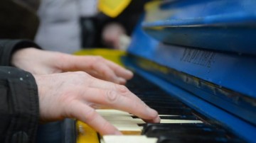 Дворник дядя Паша как зеркало украинской революции. Василий Волга