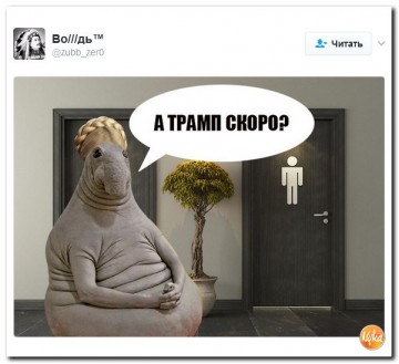 "Мыздобулы" в картинках. Смешных и не очень... 01-03-2017